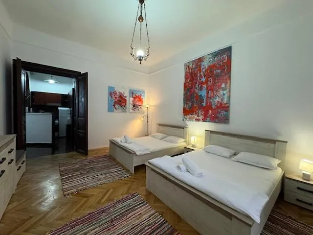 Joy City Stay Ungureanu 6B