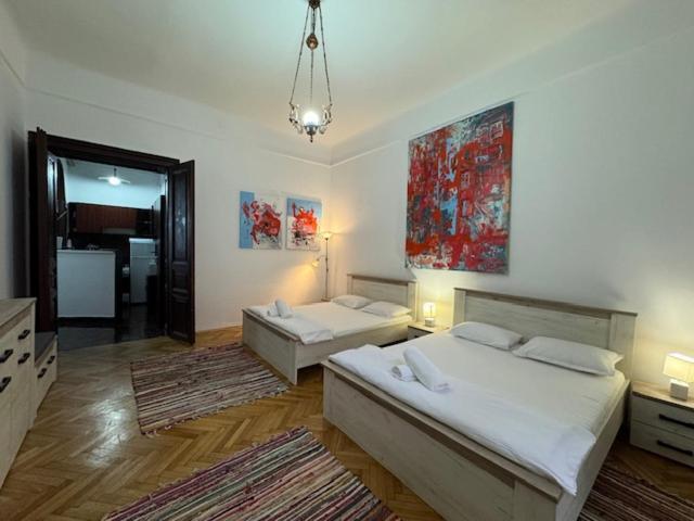 Apartament Joy Ungureanu 6b Timişoara